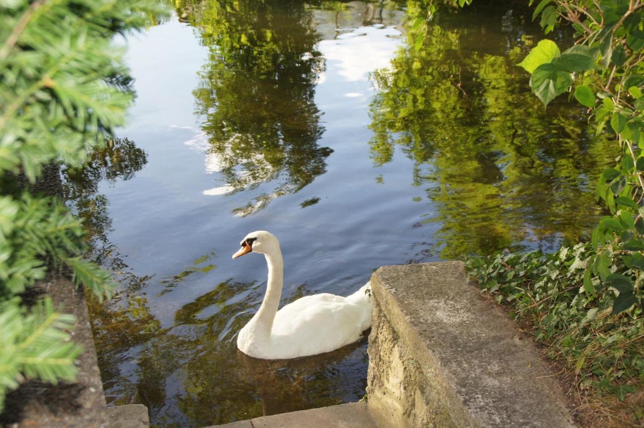 Ferienhaus Brenzblick Gundelfingen an der Donau Zewnętrze zdjęcie